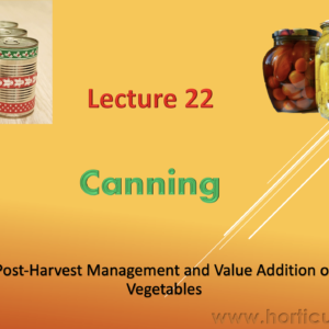 Canning PPT